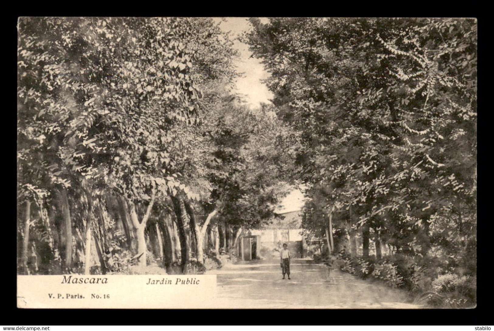 ALGERIE - MASCARA - JARDIN PUBLIC - Autres & Non Classés