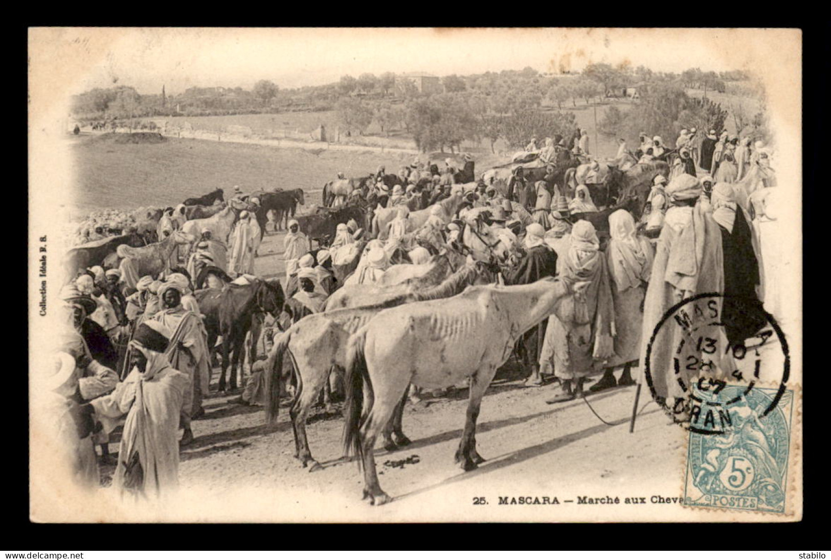 ALGERIE - MASCARA - MARCHE AUX CHEVAUX - Autres & Non Classés