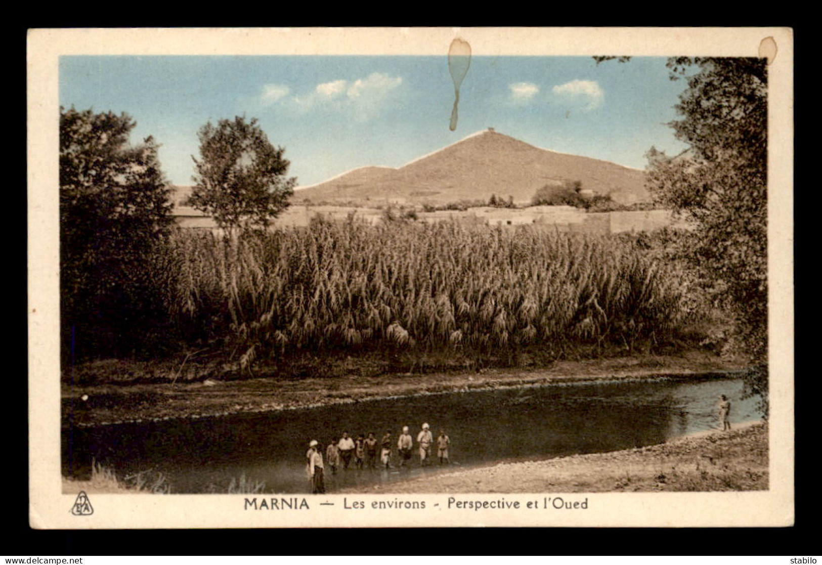 ALGERIE - MARNIA - LES ENVIRONS - PERSPECTIVE ET L'OUED - Autres & Non Classés