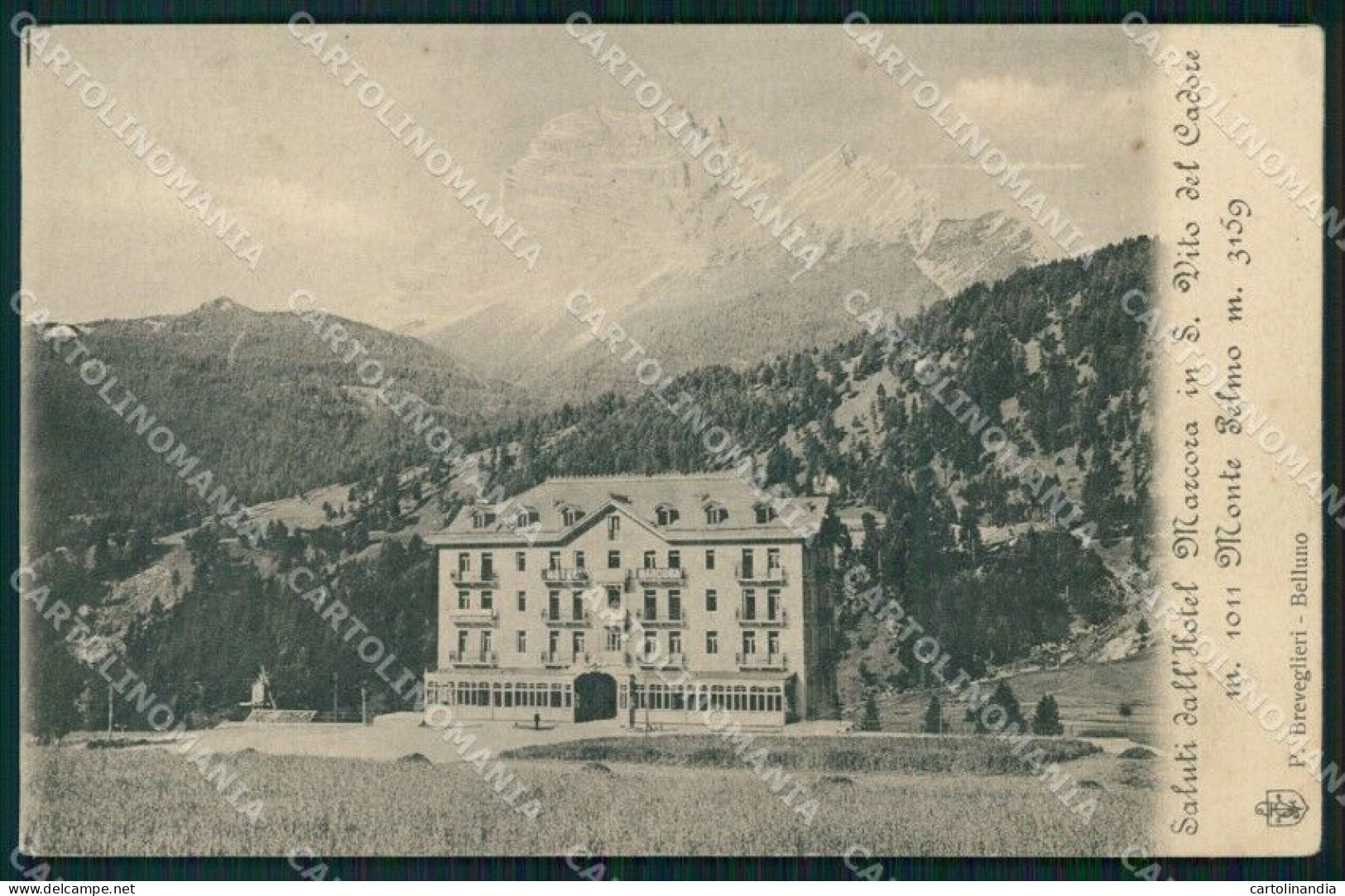 Belluno San Vito Di Cadore Hotel Marcora Cartolina VK4574 - Belluno