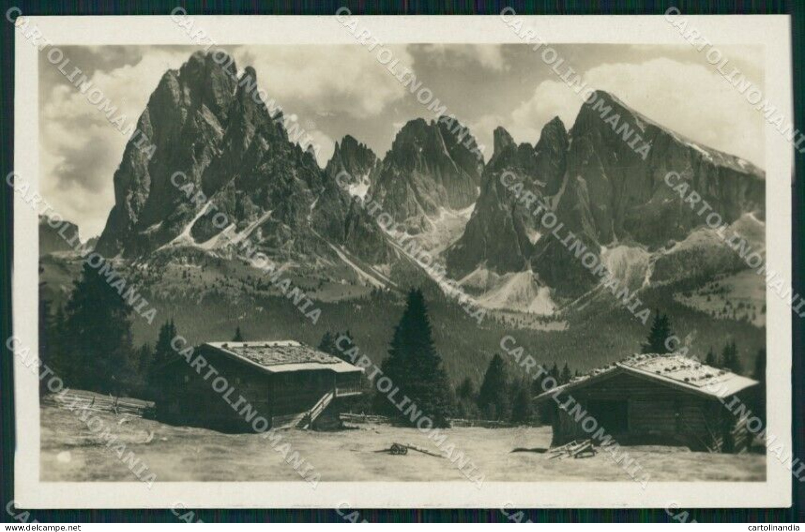 Trento Gruppo Del Sasso Lungo Dall'Alpe Di Siusi Foto Cartolina VK3782 - Trento