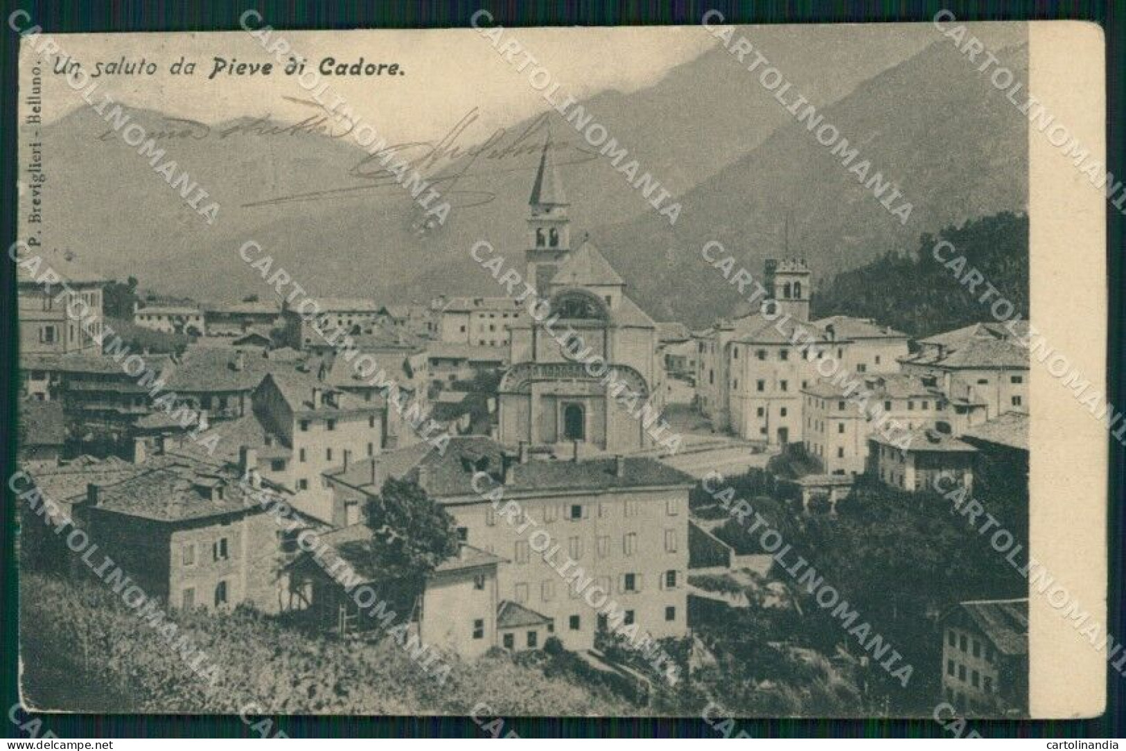 Belluno Pieve Di Cadore Cartolina VK3844 - Belluno