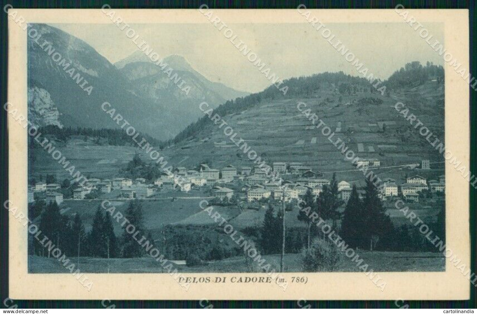 Belluno Vigo Di Cadore Pelos Di Cadore Cartolina VK4106 - Belluno