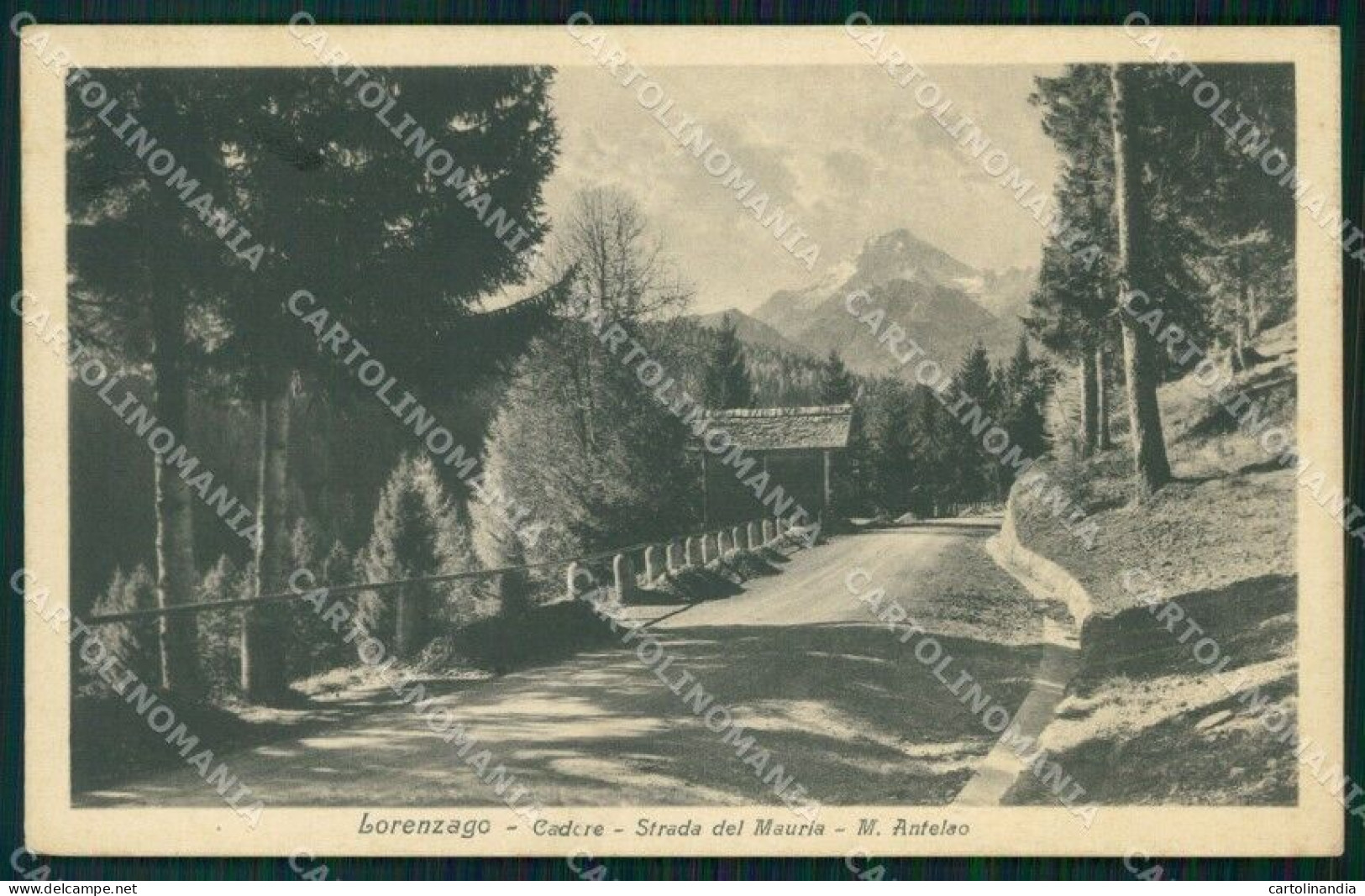 Belluno Lorenzano Di Cadore Monte Antelao Cartolina VK3871 - Belluno