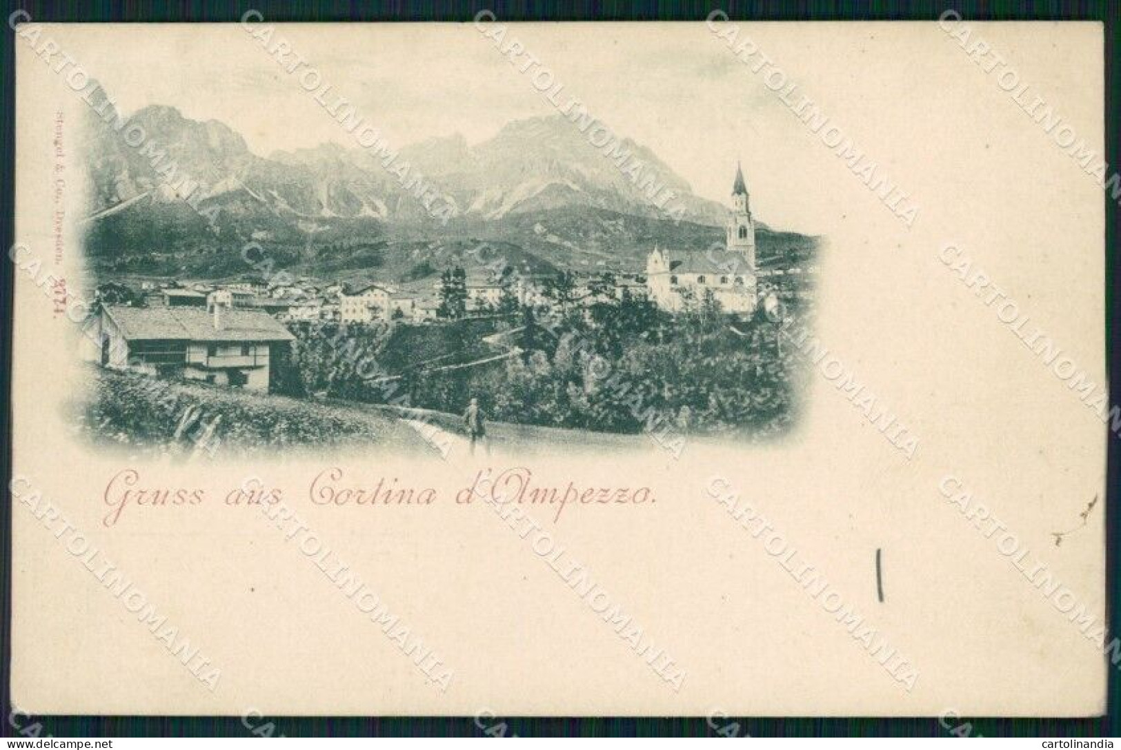 Belluno Cortina D'Ampezzo Gruss Cartolina VK4586 - Belluno