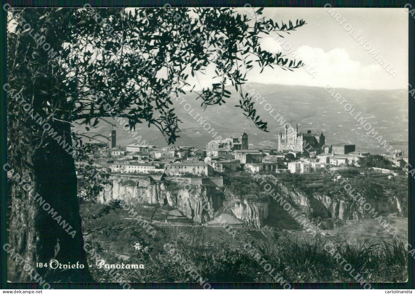 Terni Orvieto FG Foto Cartolina KB4925 - Terni