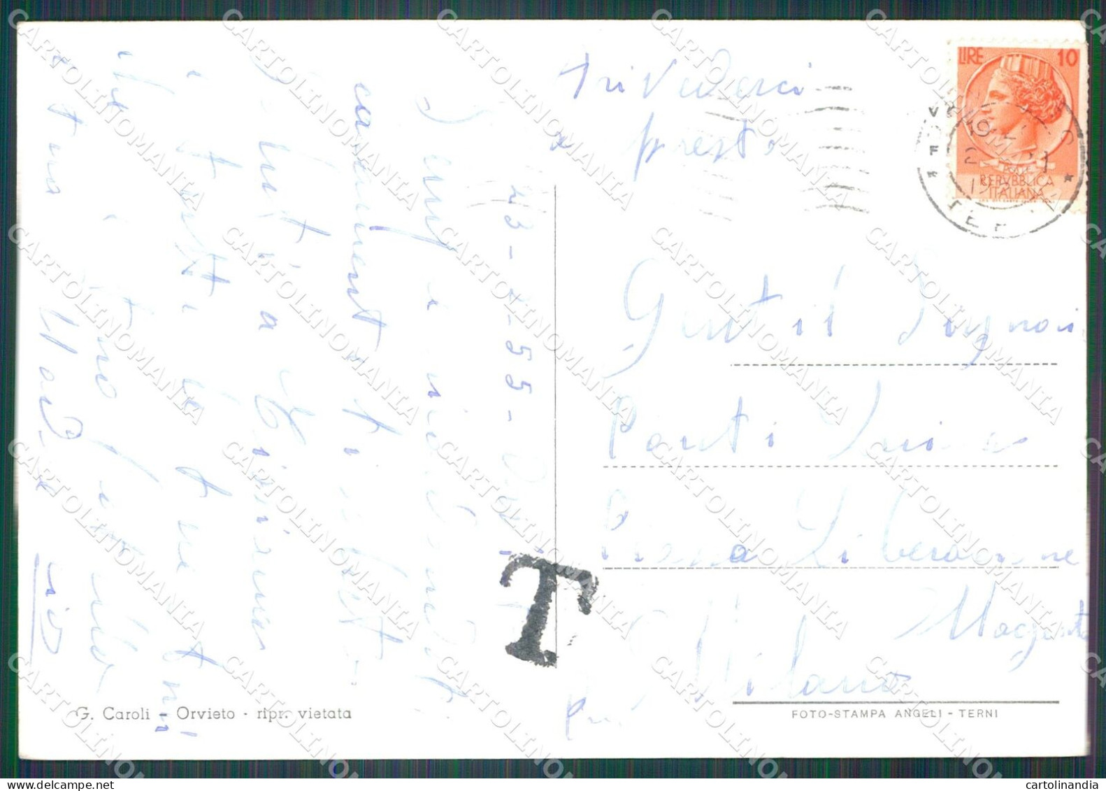 Terni Orvieto FG Foto Cartolina KB4925 - Terni