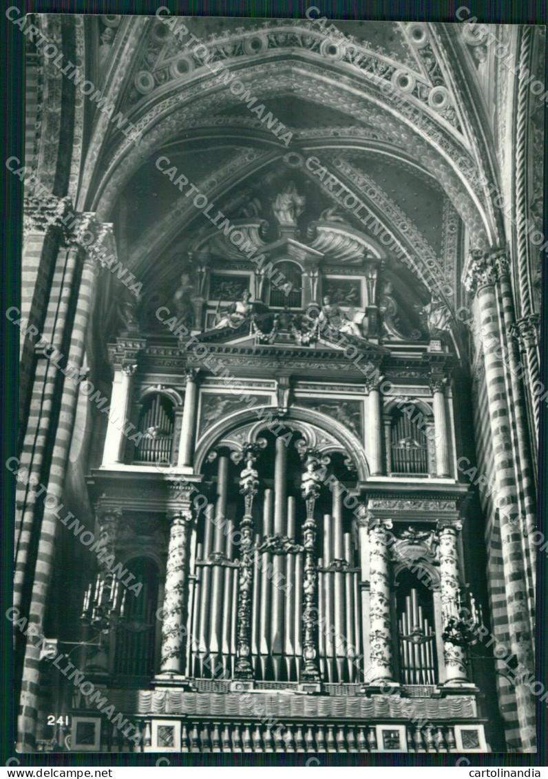 Terni Orvieto Duomo FG Foto Cartolina KB4928 - Terni