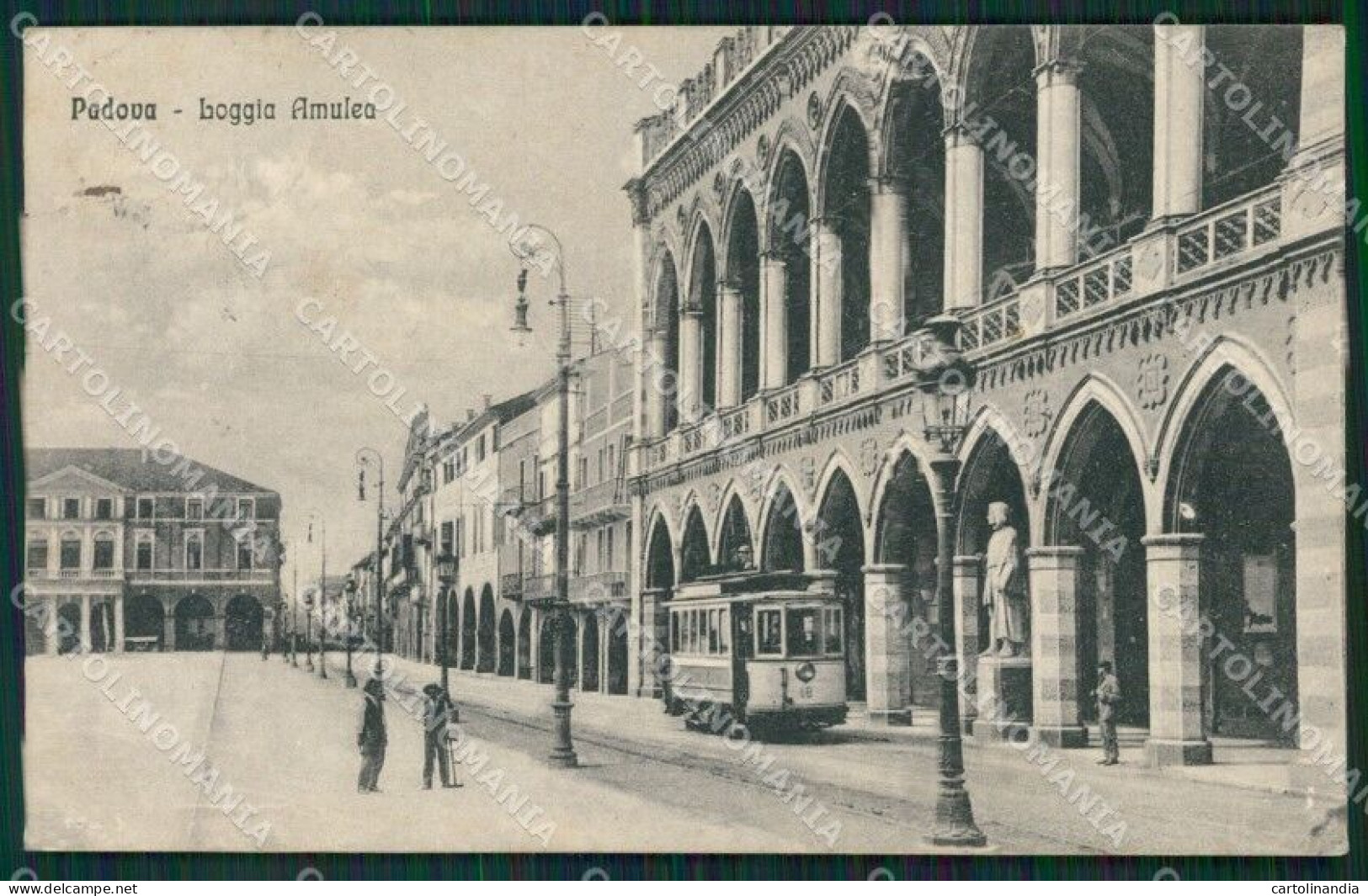 Padova Città Tram Cartolina ZKM8780 - Padova (Padua)