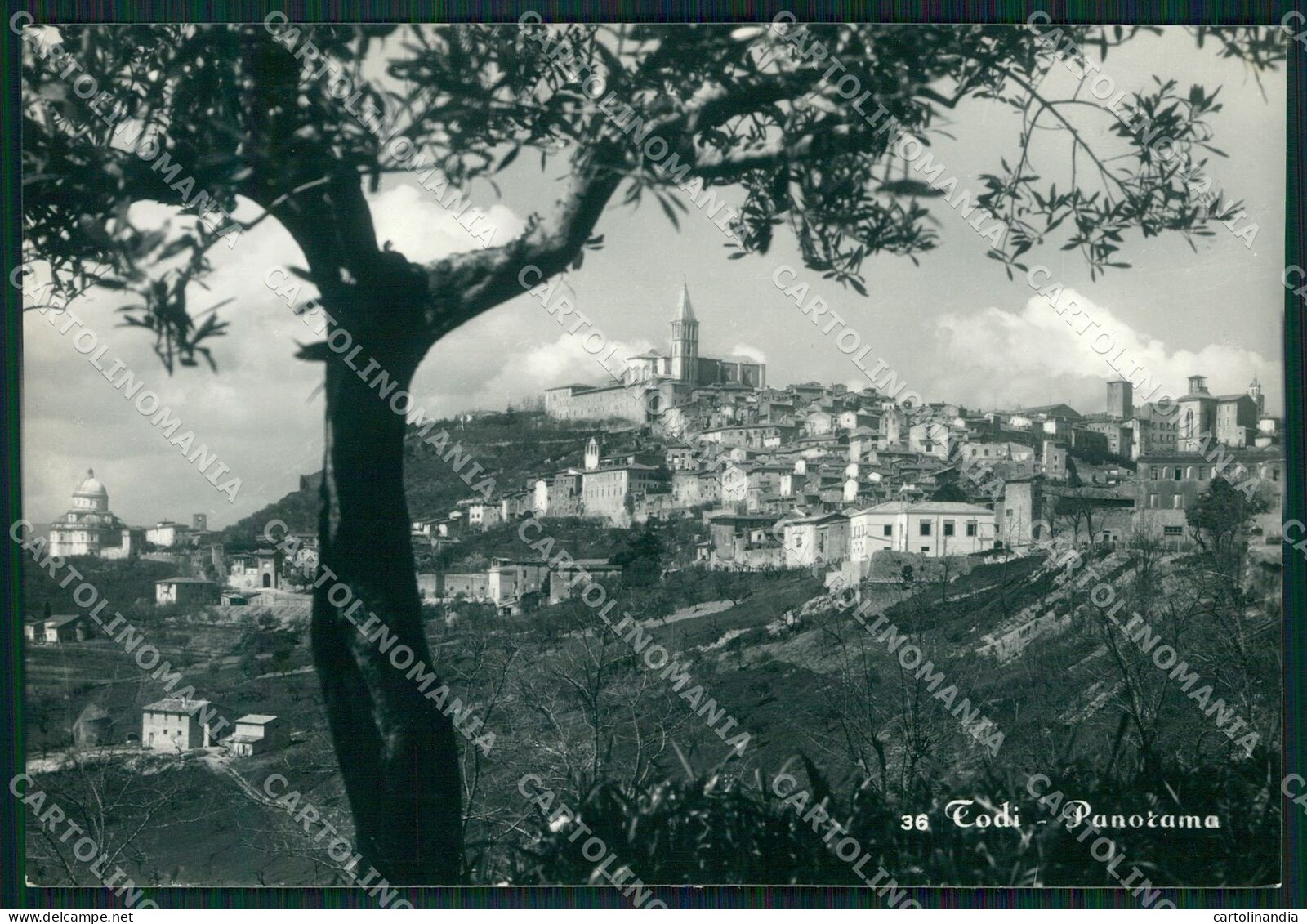 Perugia Todi FG Foto Cartolina KB4961 - Perugia