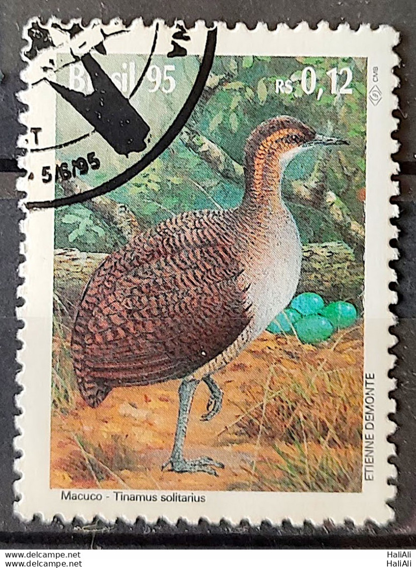 C 1943 Brazil Stamp Fauna Preservation Macuco 1995 Circulated 1 - Usati