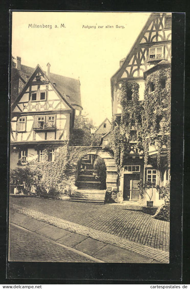 AK Miltenberg A. M., Aufgang Zur Alten Burg  - Miltenberg A. Main