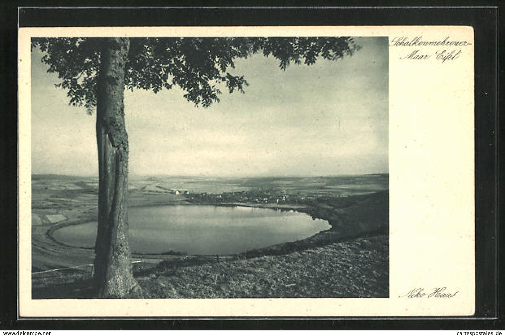 AK Daun / Eifel, Schalkenmehrener Maar Aus Der Vogelschau  - Daun