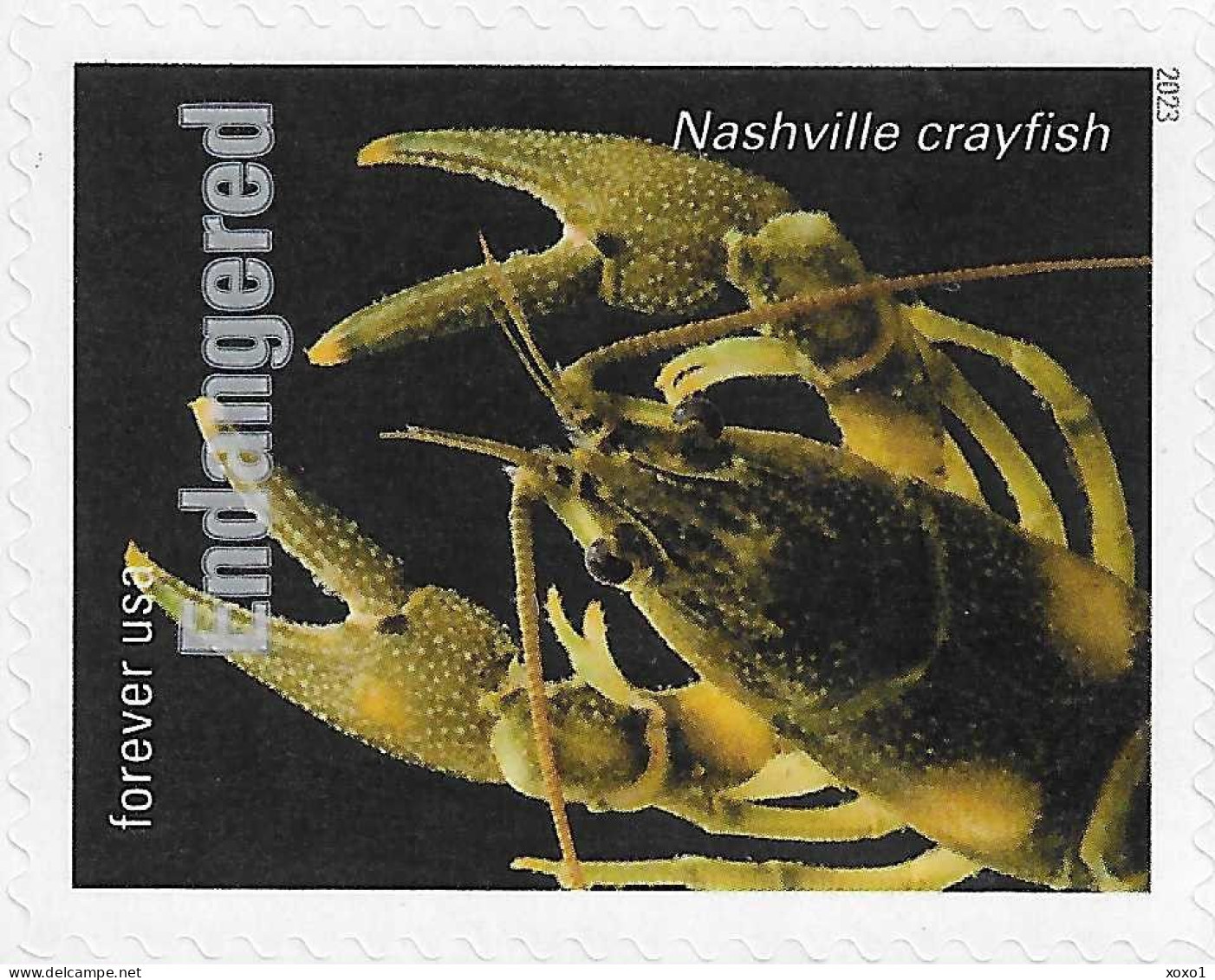 USA 2023 MiNr. 6068ba Endangered Species Crustaceans The Nashville Crayfish (Faxonius Shoupi) 1v MNH ** 1.40 € - Crostacei