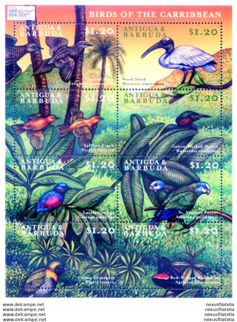 Fauna. Uccelli 2000. - Antigua Y Barbuda (1981-...)