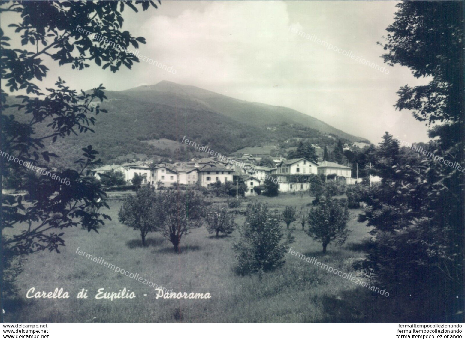 G300 Cartolina Provincia Di Como Carella Di Eupilio  Panorama - Como