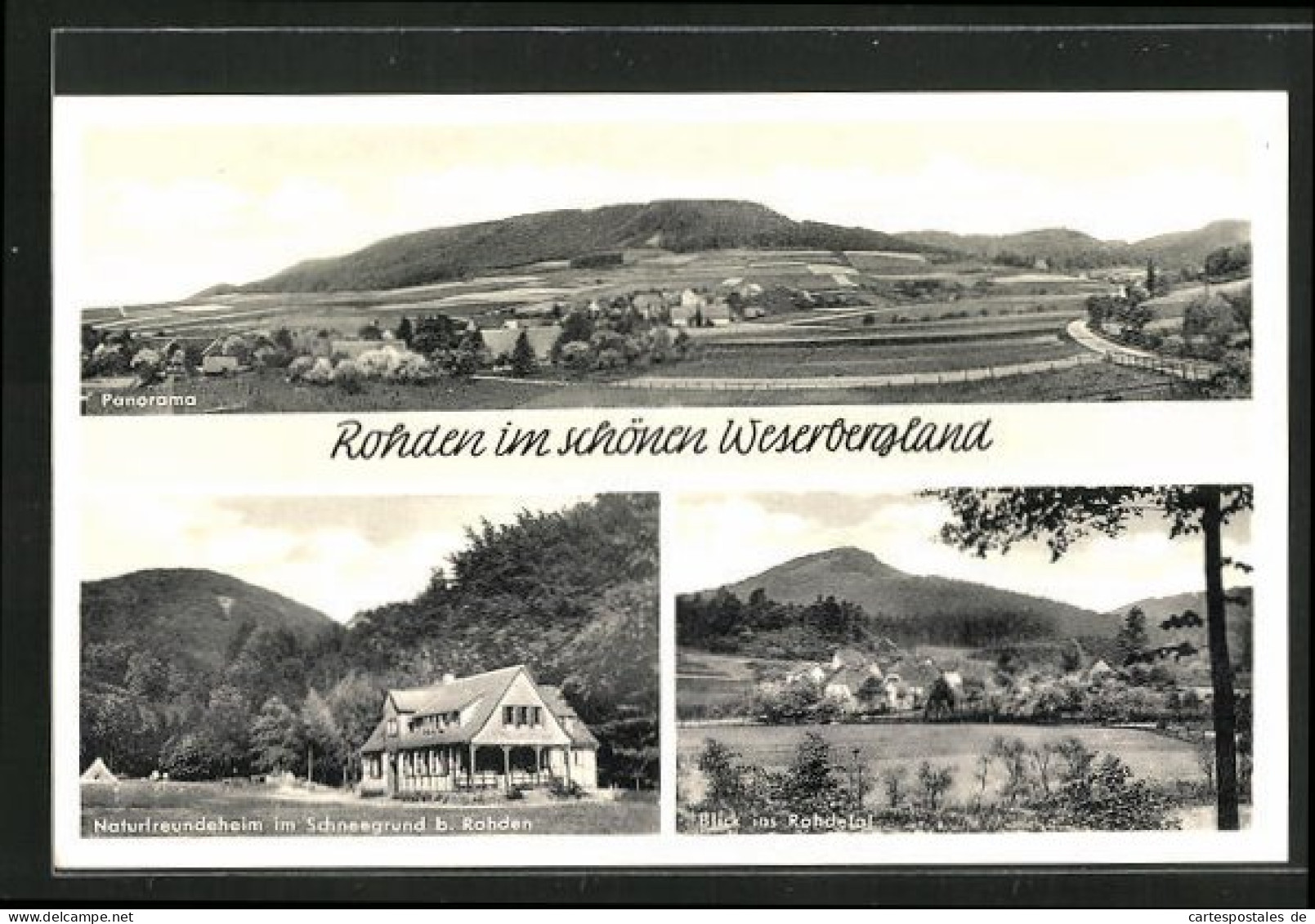 AK Rohden / Weserbergland, Panorama, Naturfreundehaus, Blick Ins Rohdetal  - Altri & Non Classificati
