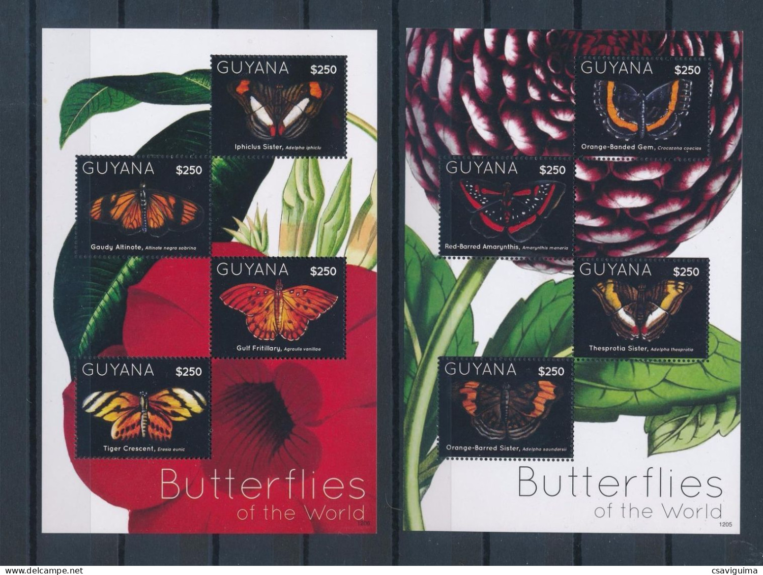 Guyana - 2012 - Butterflies Of The World - Yv 6210/17 - Butterflies