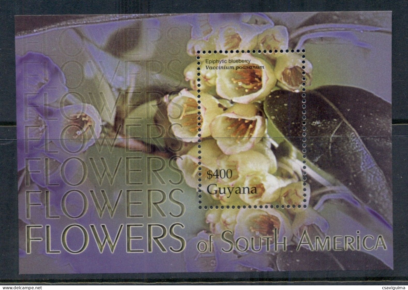 Guyana - 2004 - Flowers Of Soyth America - Yv Bf 477 - Otros & Sin Clasificación