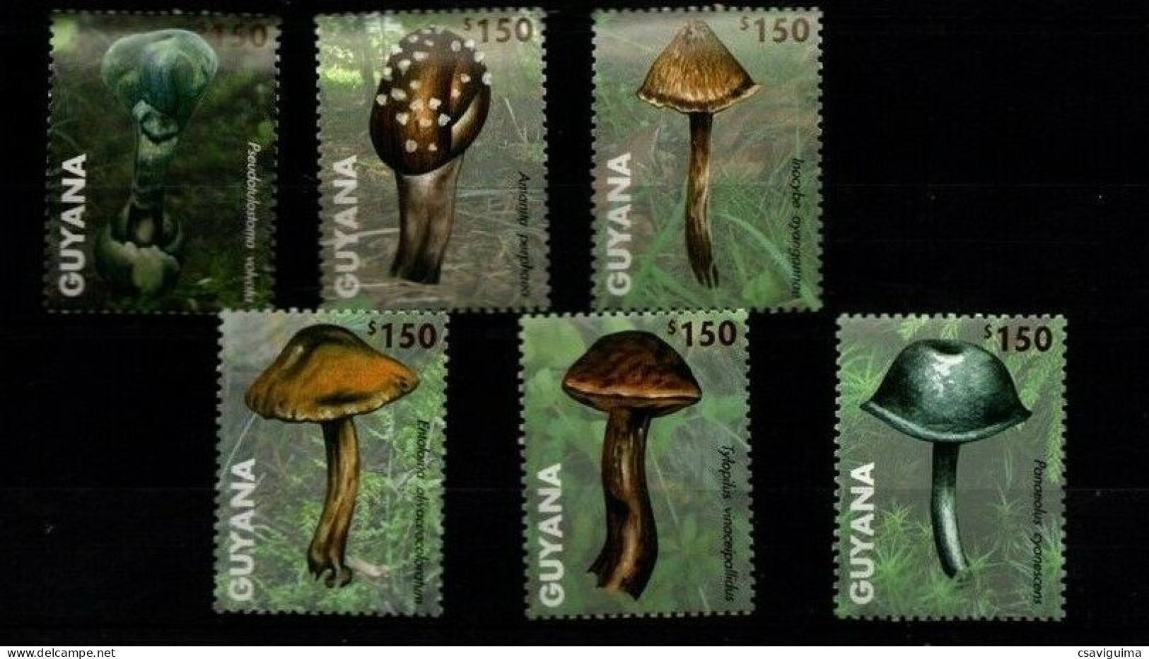 Guyana - 2011 - Mushrooms Of The Caribbean - Yv 6167/72 (from Sheet) - Champignons