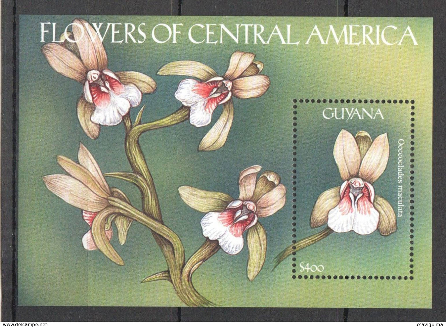 Guyana - 2000 - Flowers Of Central America - Yv Bf 391 - Otros & Sin Clasificación