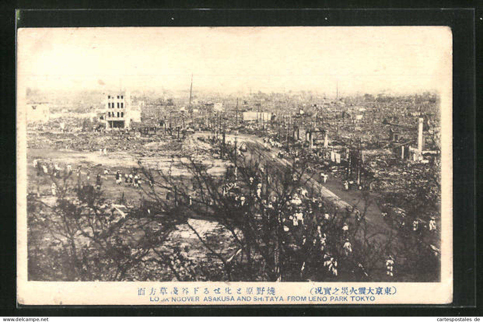 AK Tokyo, Look Over Asakusa And Shitaya From Ueno Park After Earthquake, Erdbeben  - Catastrofi