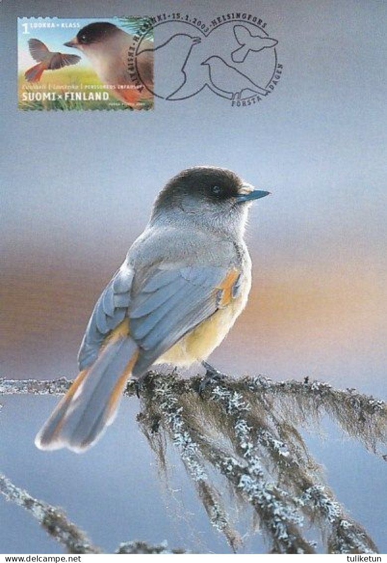 Bird - Oiseau - Vogel - Uccello - Pássaro - Kuukkeli - Siberian Jay - Perisoreus Infaustus - Maximum - Finnish Post - Pájaros