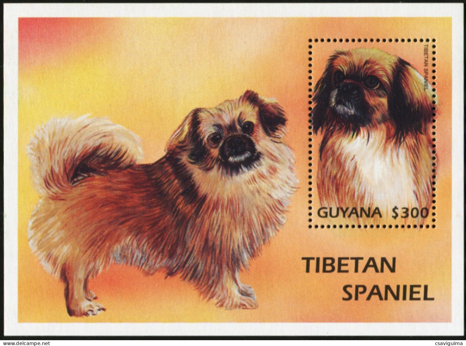 Guyana - 1997 - Dogs: Tibetan Spaniel - Yv Bf 287 - Perros