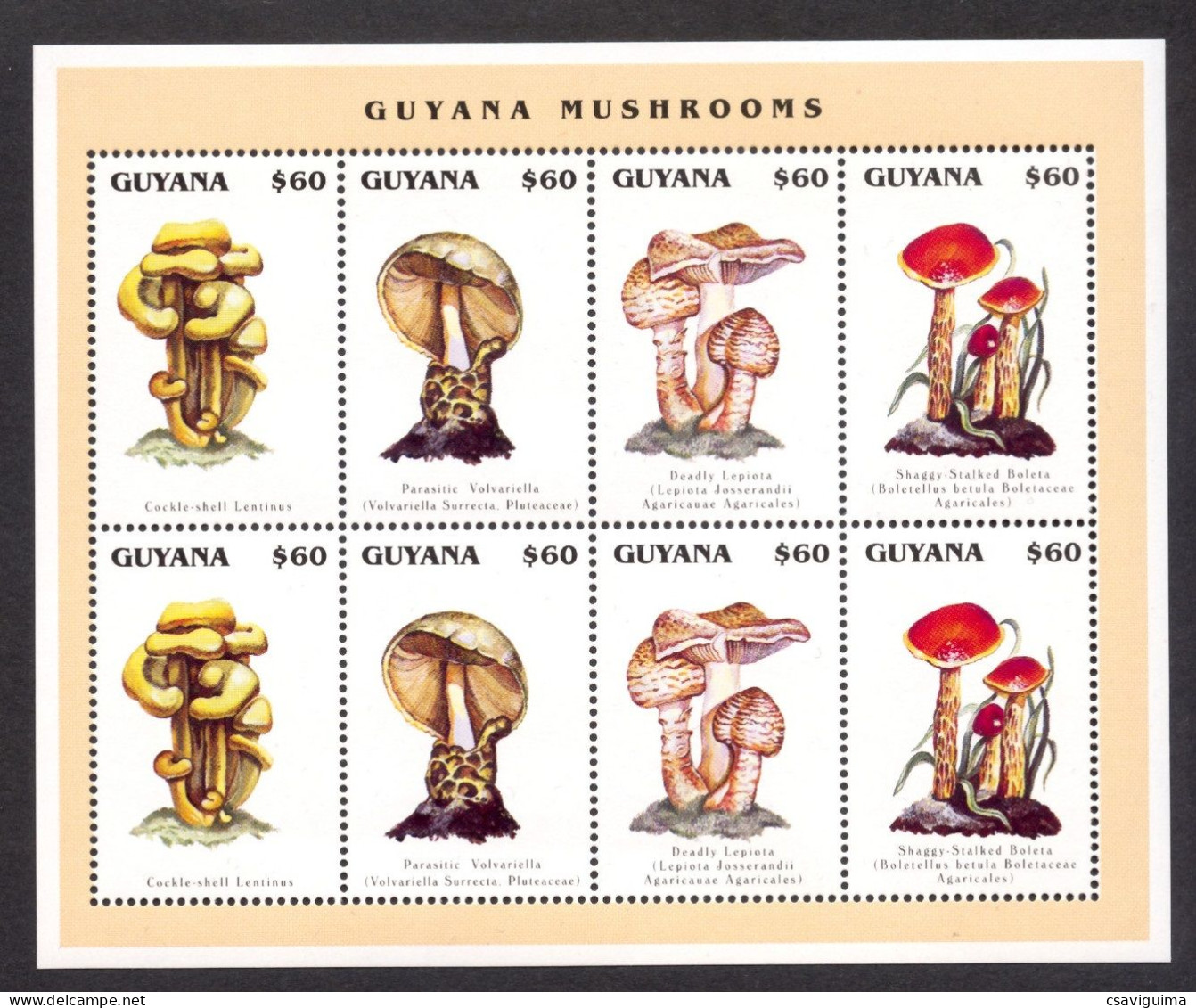 Guyana - 1996 - Plants: Mushrooms - Yv 4056/59 - Funghi