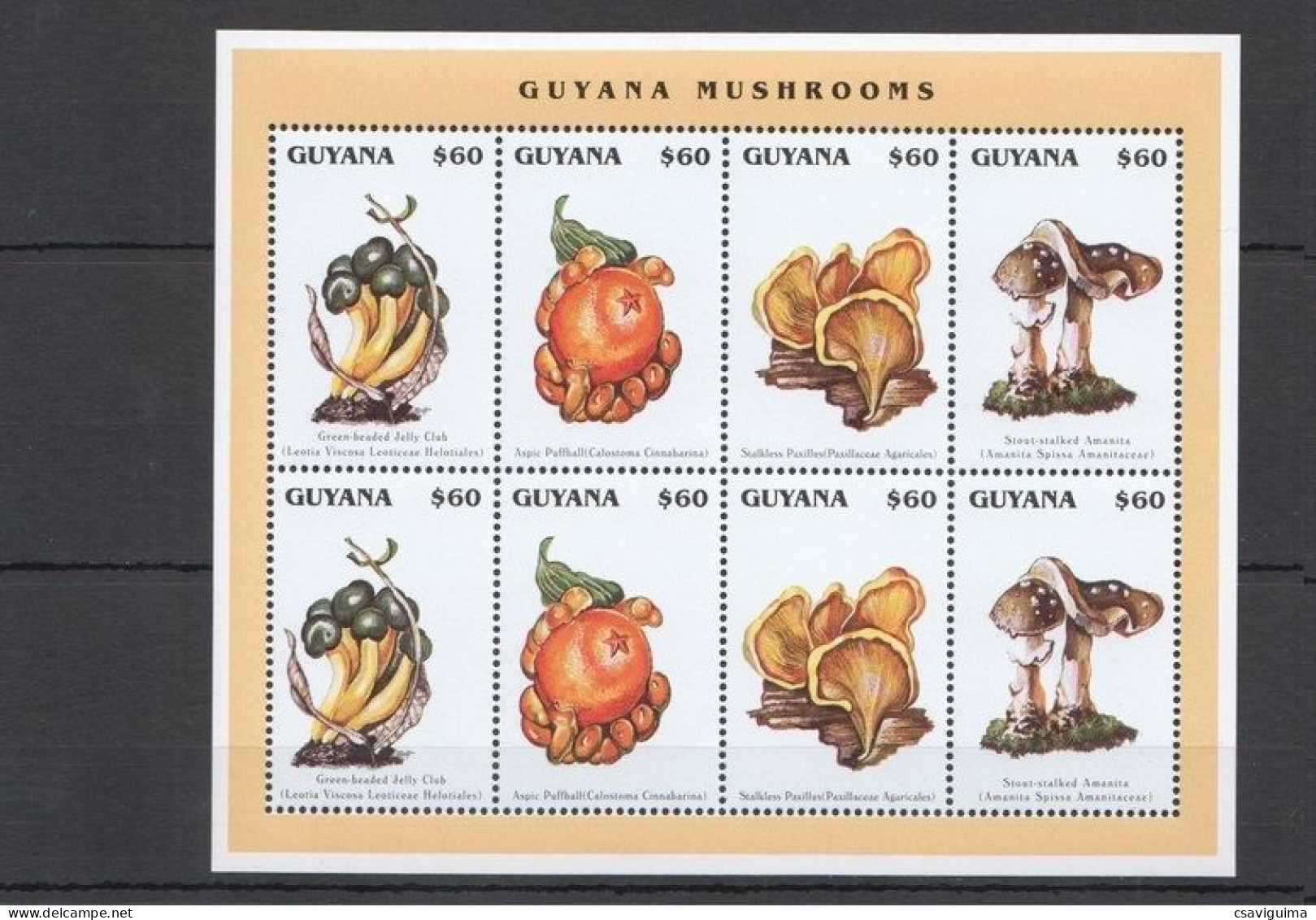 Guyana - 1996 - Mushrooms - Yv 4120/23 - Mushrooms