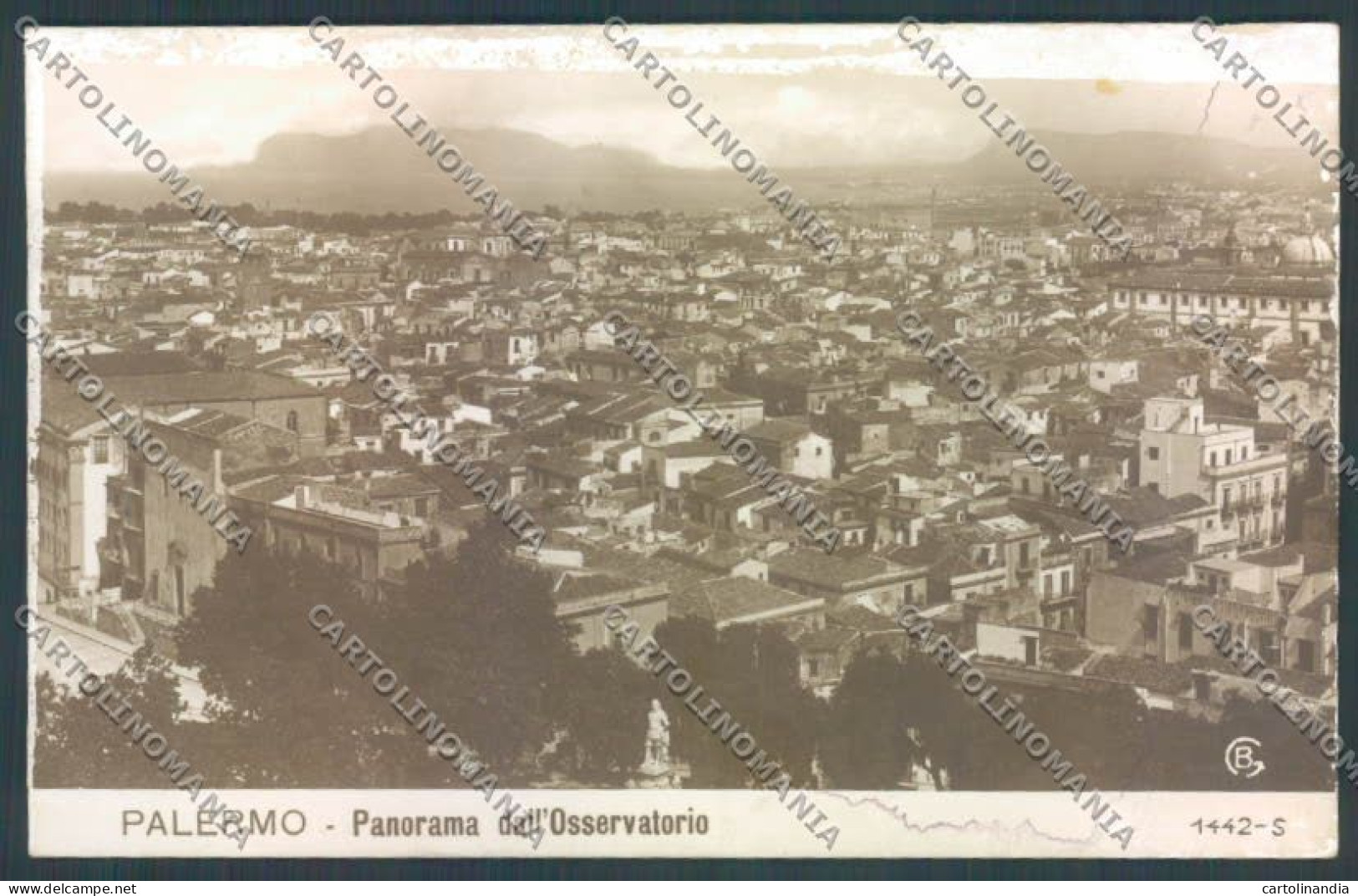 Palermo Città ABRASA Foto Cartolina ZT8146 - Palermo