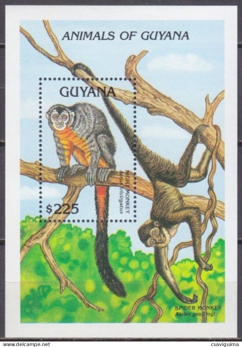 Guyana - 1992 - Mammals: Nigth Monkeys - Yv Bf 100 - Scimmie