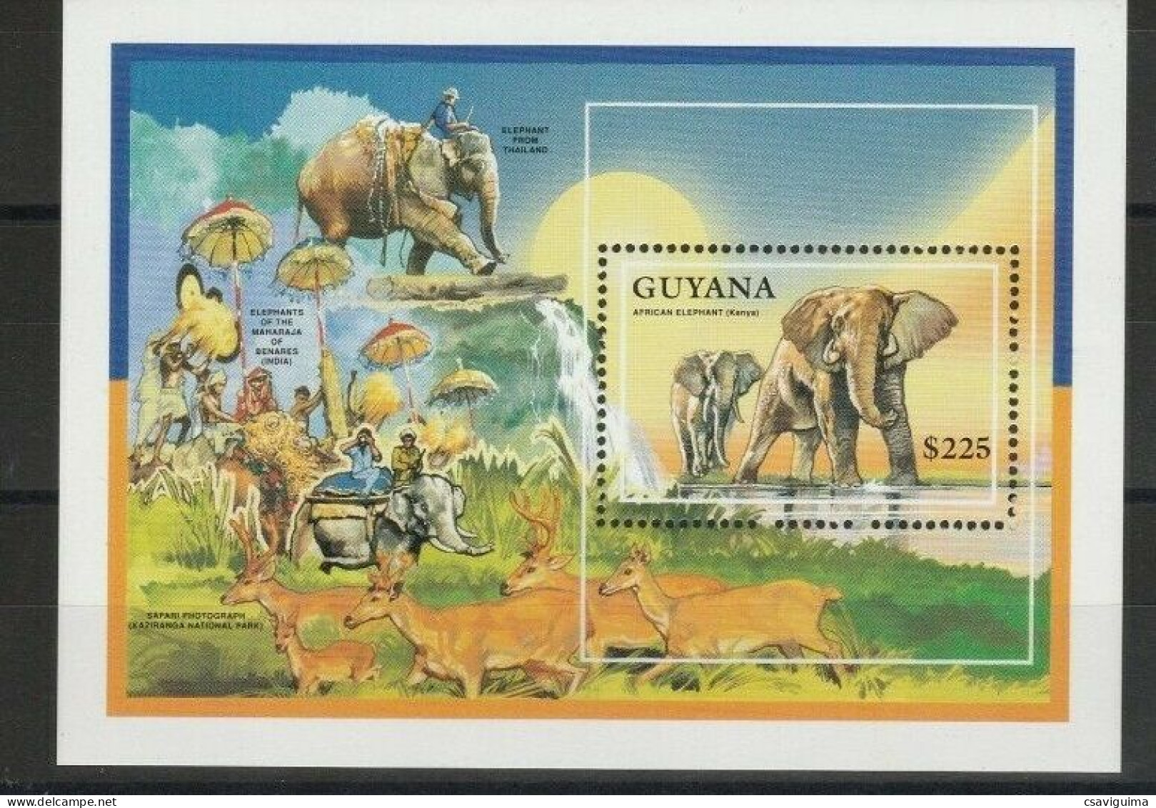 Guyana - 1992 - Mammals: African Elephant - Yv Bf 102 - Elefanti