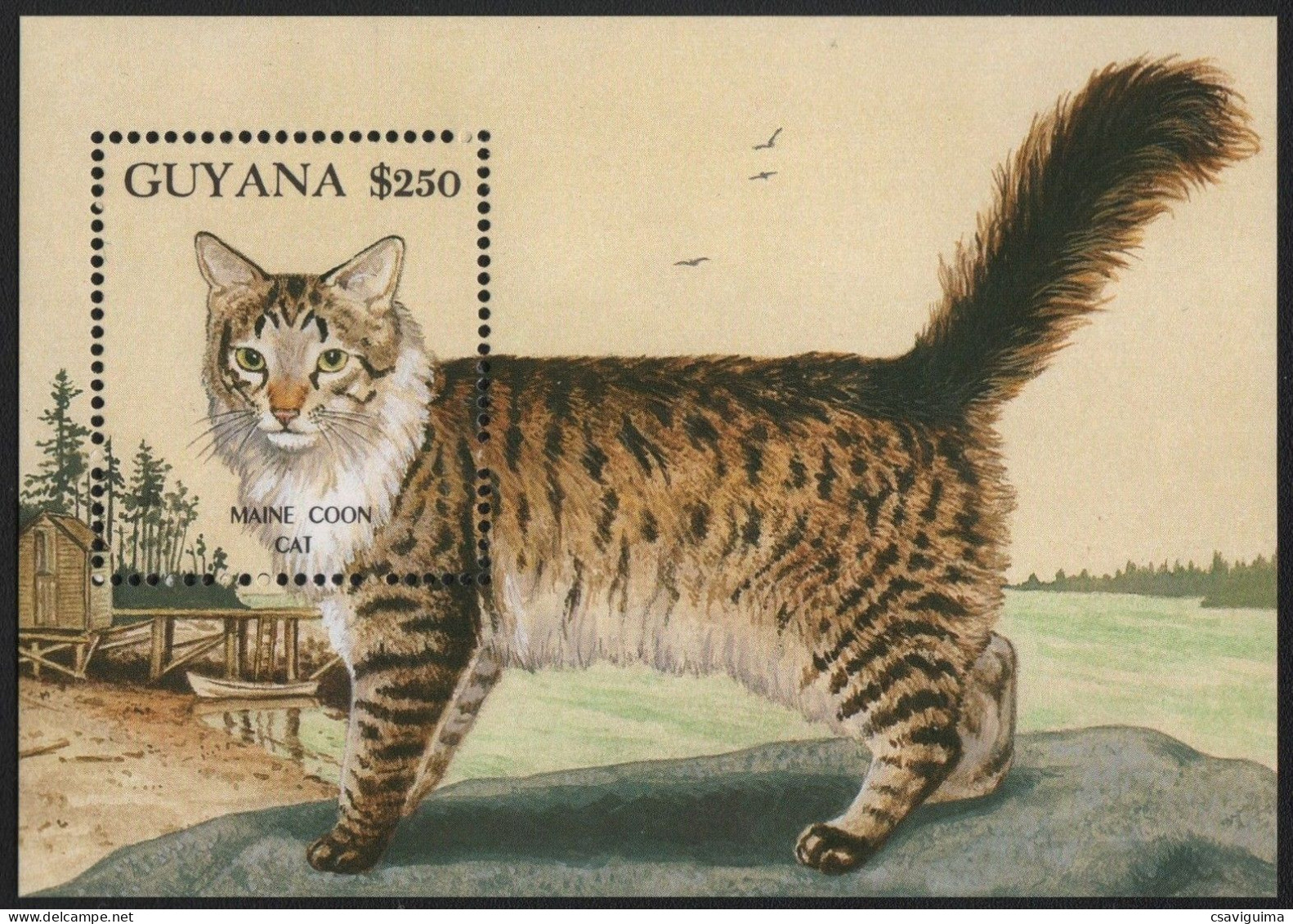 Guyana - 1992 - Cats: Maine Coon - Yv Bf 107 - Gatos Domésticos