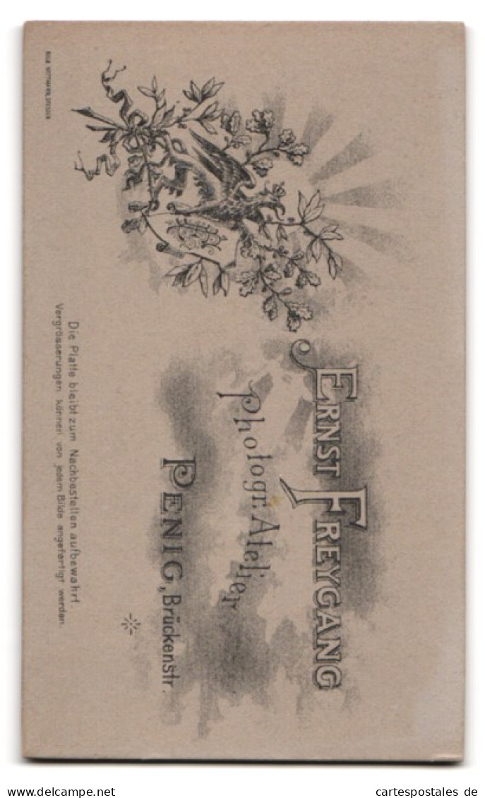 Fotografie Ernst Freygang, Penig I. S., Brückenstrasse, Niedlicher Säugling Auf Einem Fell  - Personnes Anonymes
