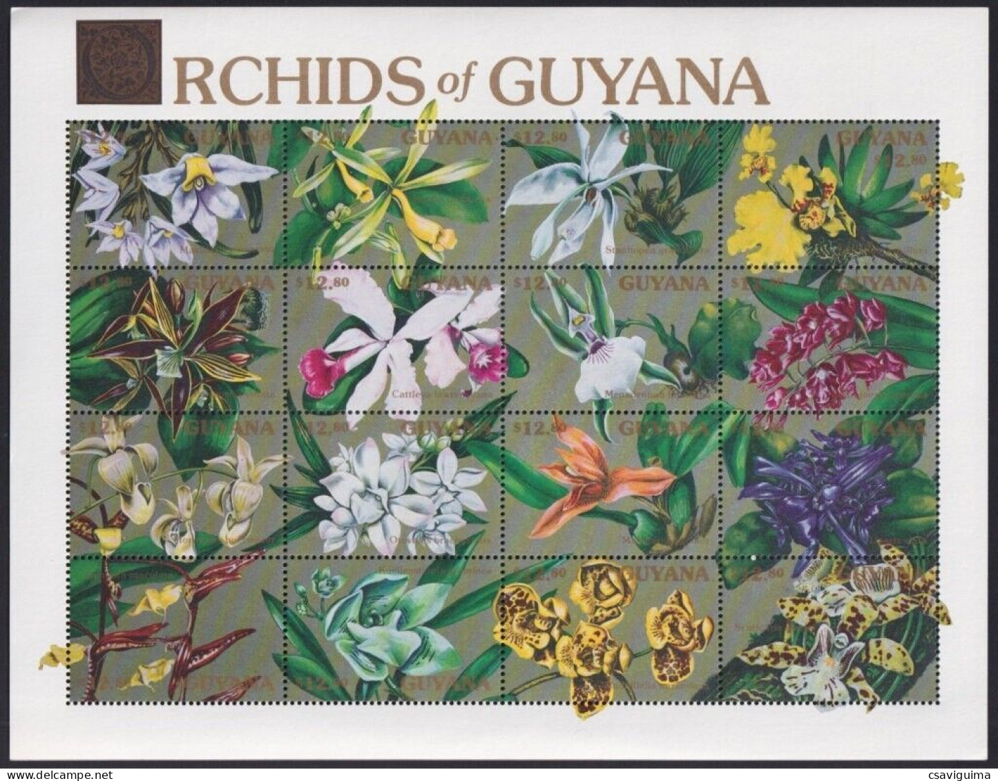 Guyana - 1991 - Flowers: Orchids Of Guyana - Yv 2651/66 - Orchidées