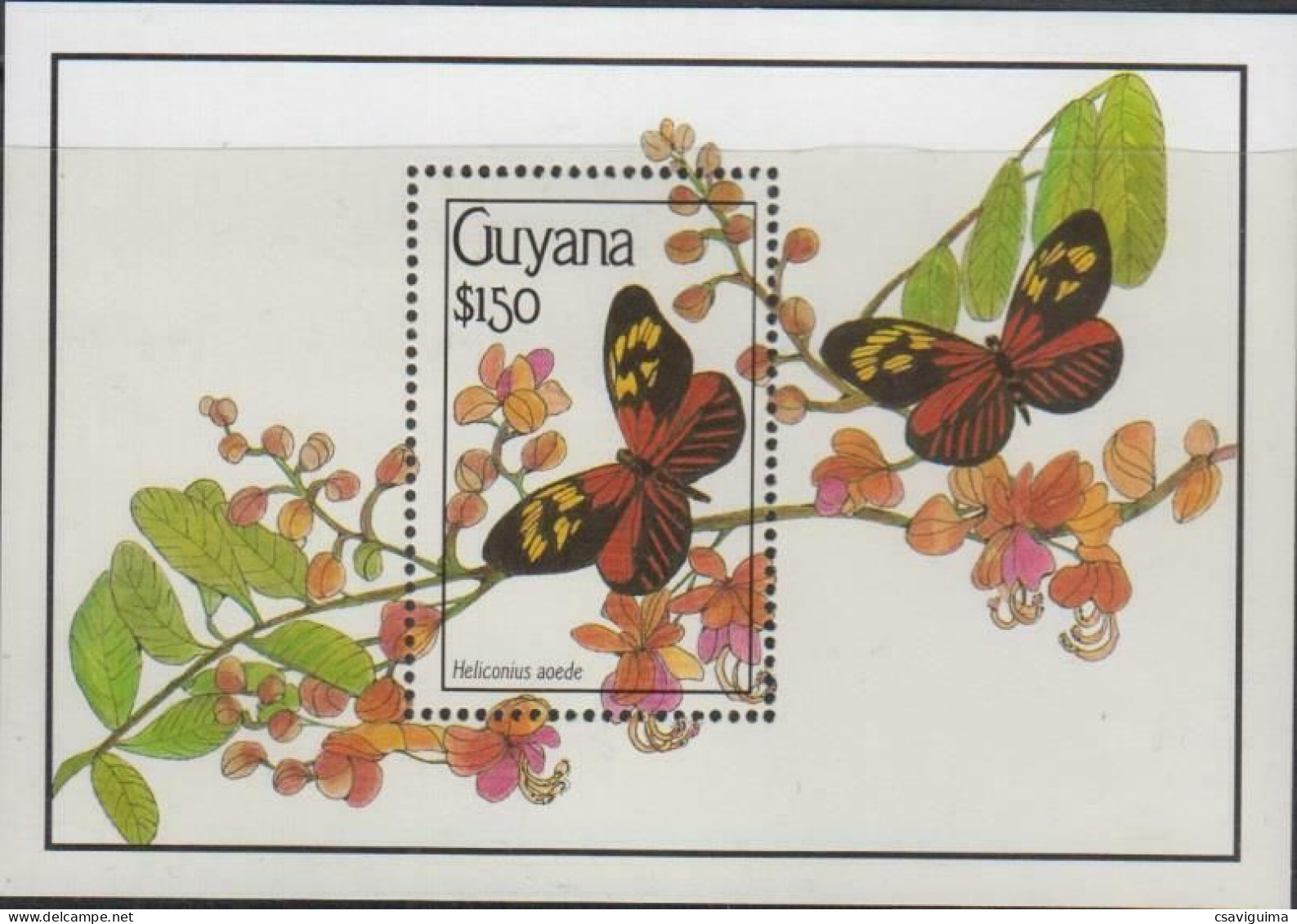 Guyana - 1990 - Insects: Butterflies - Yv Bf 48 - Vlinders