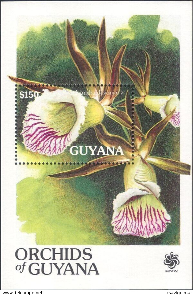 Guyana - 1990 - Flowers: Orchids - Yv Bf 53 - Orchidées