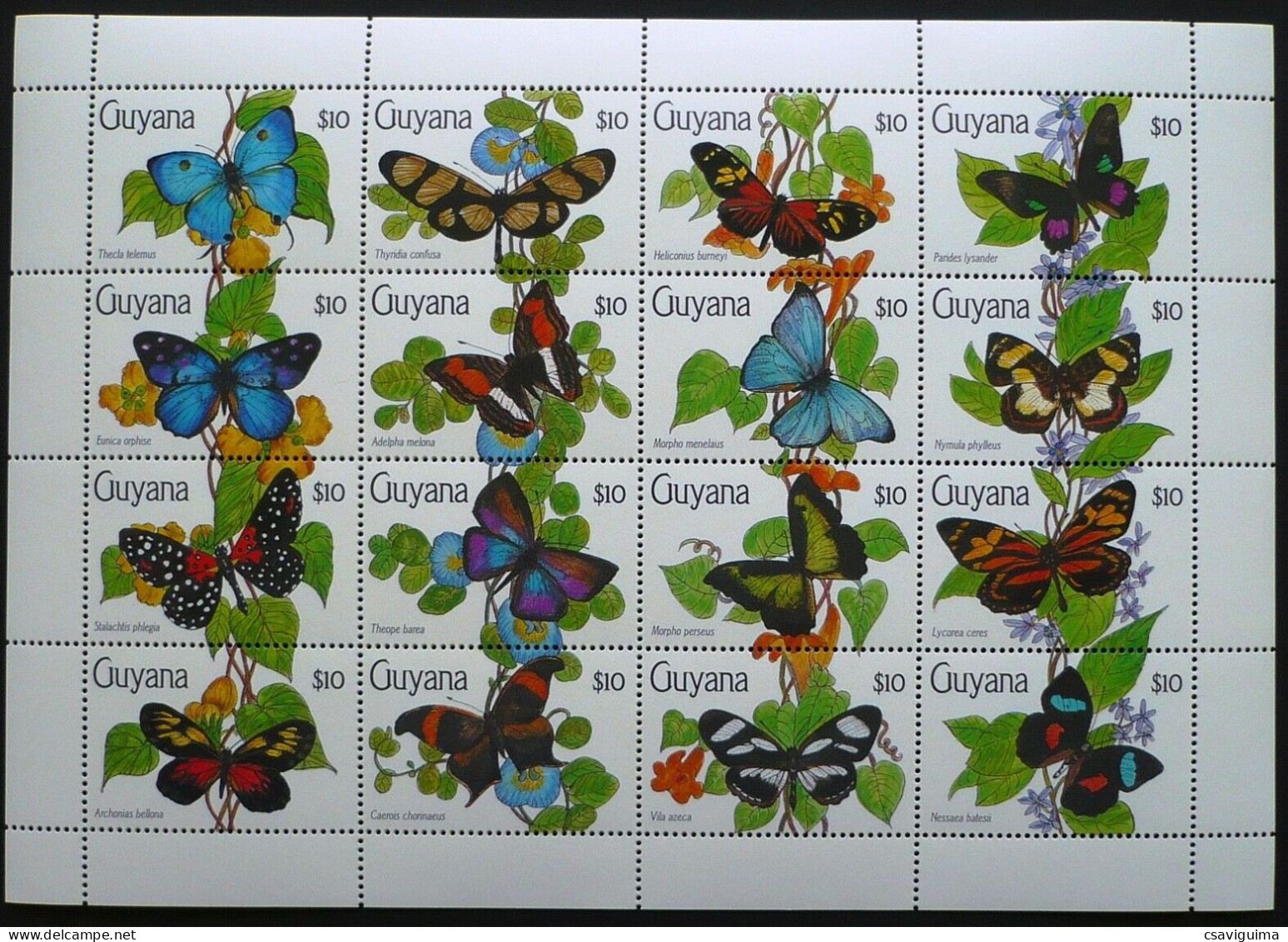 Guyana - 1990 - Butterflies - Yv 2276/91 - Mariposas
