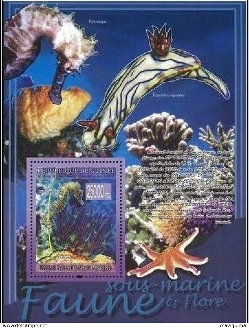 Guinea (Guinée) - 2008 - Marine Life - Yv Bf 860 - Mundo Aquatico