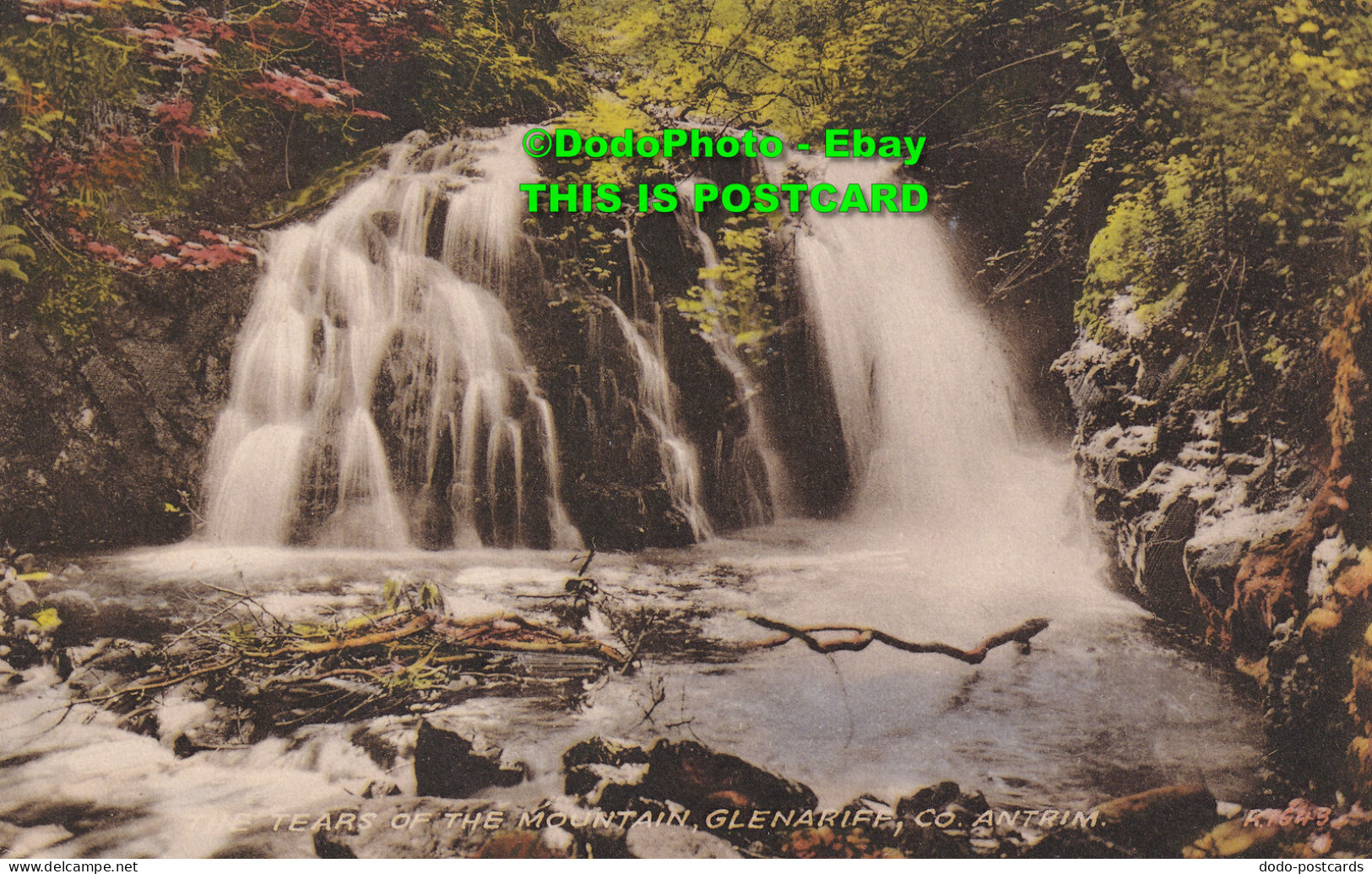 R409306 Co. Antrim. The Tears Of The Mountain. Glenariff. Valentine. Collo Colou - World