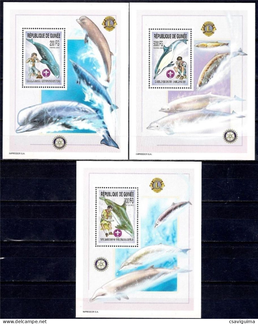 Guinea (Guinée) - 2002 - Dolphins - Yv ??? - Dolphins