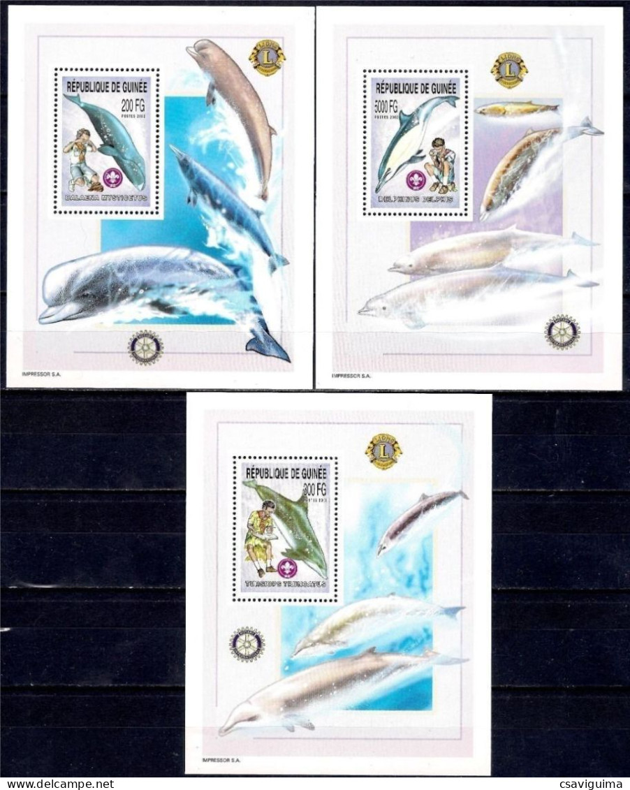 Guinea (Guinée) - 2002 - Dolphins - Yv ??? - Delfine