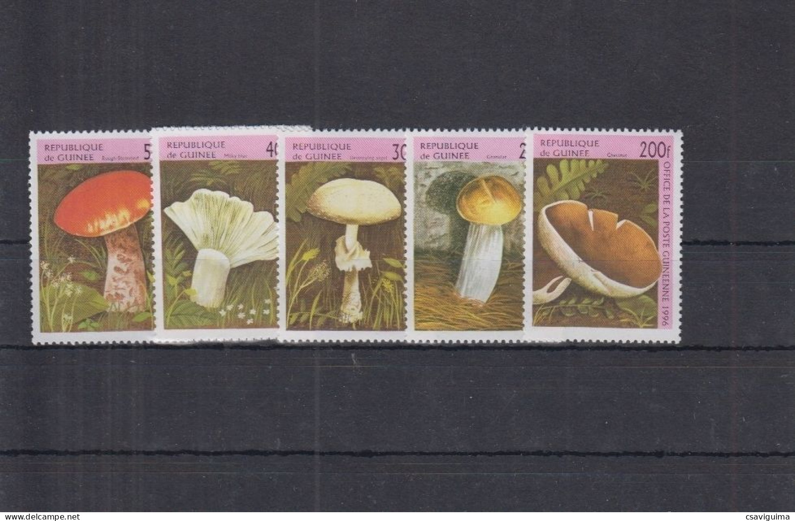 Guinea (Guinée) - 1996 - Mushrooms - Yv 1093/98 - Hongos