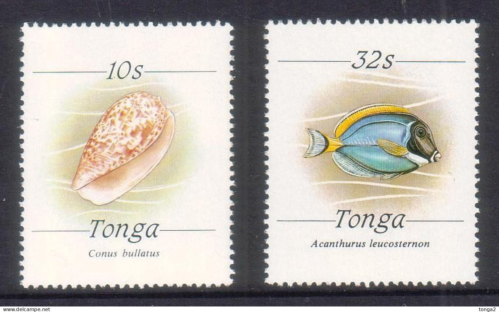 Tonga 1987 Set Of 2 Fish Shell SG 976a & 976b Cat US$33 - No Date At Bottom - Scarce - Read Description - Tonga (1970-...)