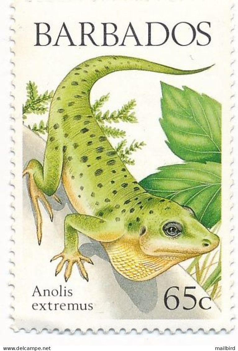 BARBADOS 1988 - Lizard: Anolis Extremus 65c - USED OBL - Barbades (1966-...)