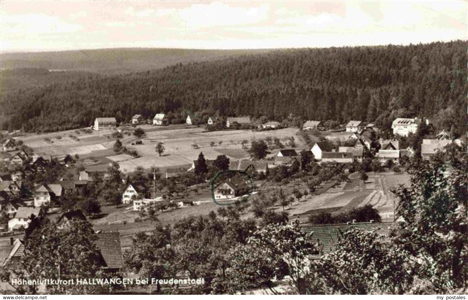 73971782 Hallwangen Panorama Hoehenluftkurort Im Schwarzwald - Sonstige & Ohne Zuordnung