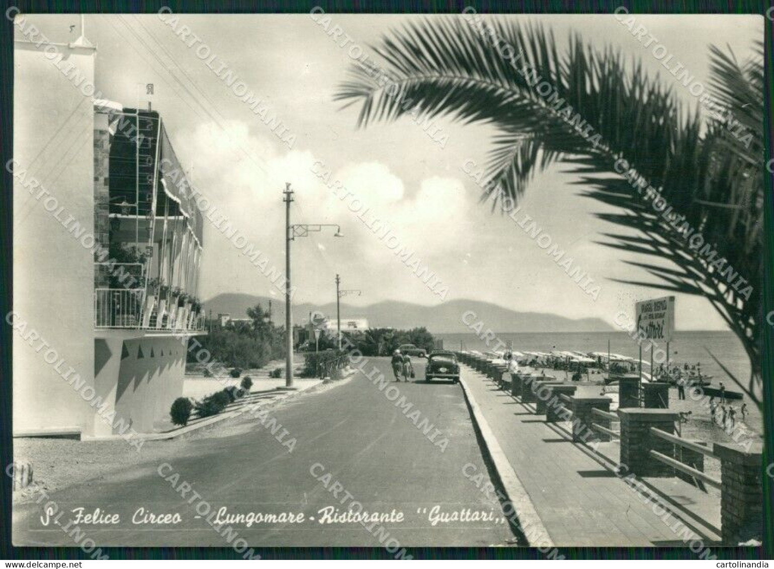 Latina San Felice Circeo Foto FG Cartolina ZKM8070 - Latina