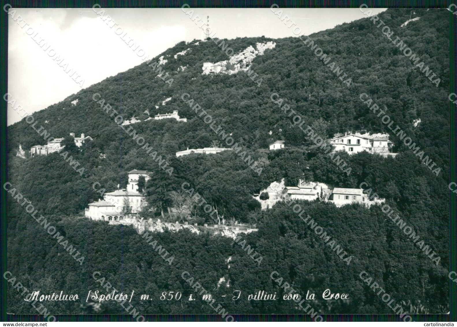 Perugia Spoleto Monteluco FG Foto Cartolina KB5031 - Perugia