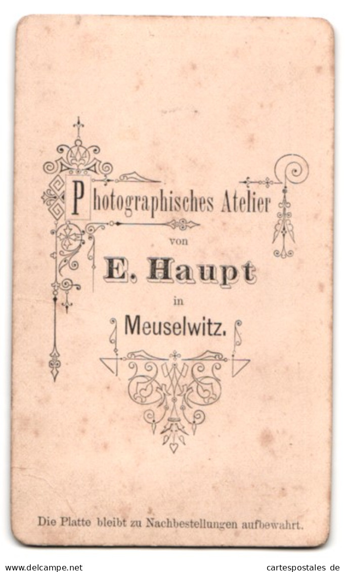 Fotografie E. Haupt, Meuselwitz, Portrait Hübsche Junge Frau Mit Zurückgebundenem Haar  - Personas Anónimos